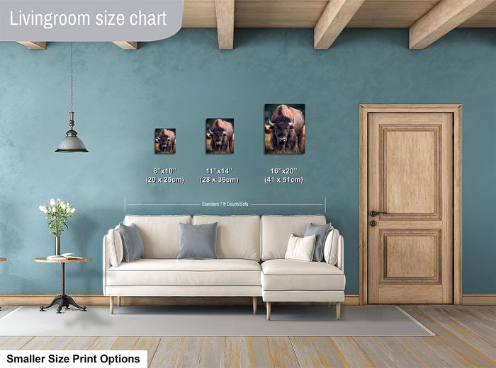 a living room with a white sofa, a wooden door, and a hanging light fixture. There are three framed pictures of bison displayed on the wall, each with different sizes. The wall is painted in a light blue color, and the floor is made of wood.