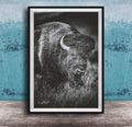 A black and white photograph of a bison standing in tall grass, with a blue textured background.