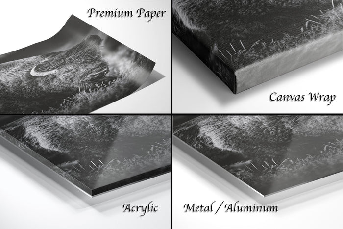 The image is a collage of four different views of a black and white photograph of a bear's face, with each view labeled as "Premium Paper", "Canvas Wrap", "Acrylic", and "Metal/Aluminum".