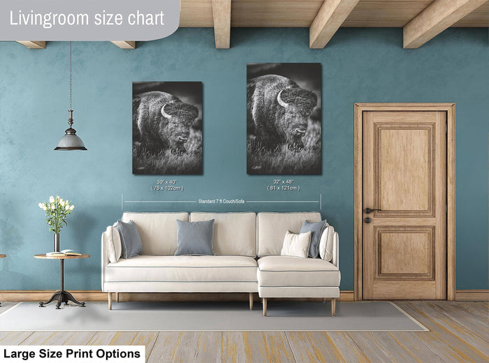 a living room with a white sofa, a wooden door, and two framed black and white photographs of a bison on the wall.