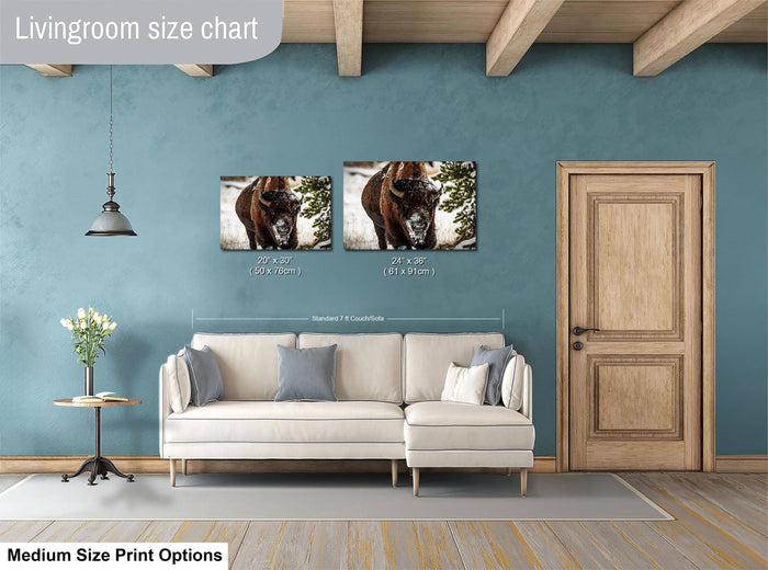 a living room with blue walls and a white couch