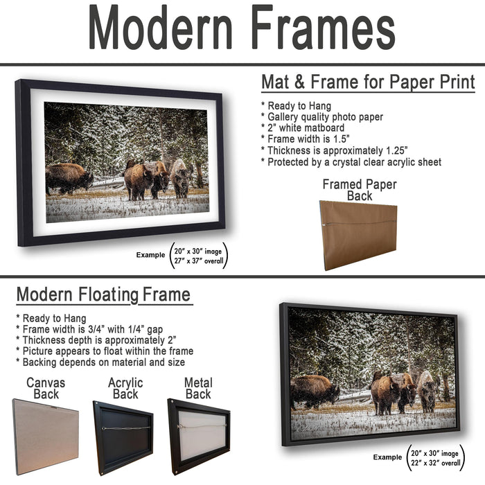 Bison Wall Art - Yellowstone Wildlife Canvas Print | Rustic Home Decor & Nature Lover Gift