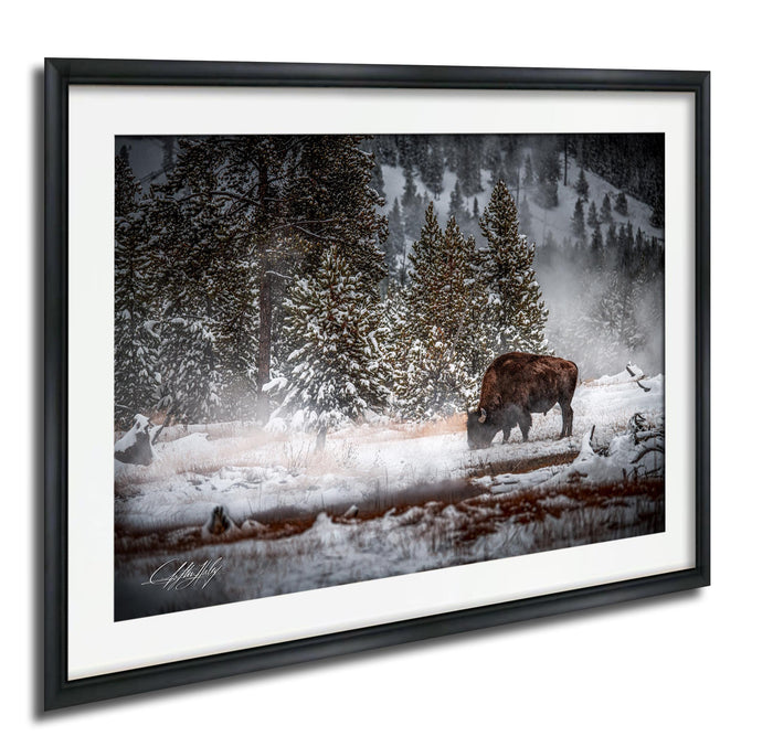 A lone bison grazes in a snowy forest, surrounded by snow-covered trees and a misty mountain backdrop.