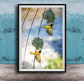 A framed photograph of two yellow birds perched on a branch, with one bird in flight and the other perched on a nest.
