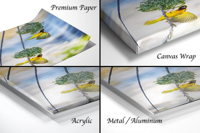 The image is a collage of four different views of a bird perched on a branch, with each view presented in a different medium: premium paper, canvas wrap, acrylic, and metal/aluminum.