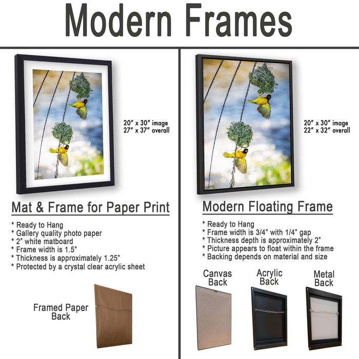 The image is a comparison of modern frames for different types of paper prints, including mat and frame options, as well as modern floating frames.