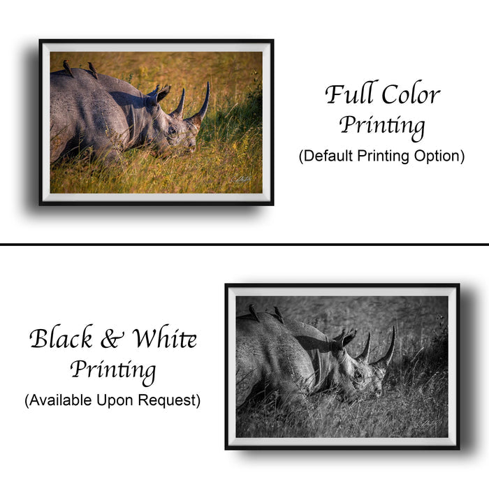 The image is a collage of two framed photographs. The top photograph is a full color print of a rhinoceros grazing in a grassy field, while the bottom photograph is a black and white print of the same rhinoceros. The text below the images indicates that the full color printing is available upon request.