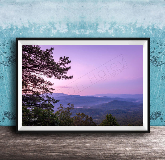 A framed photograph of a scenic mountain landscape at sunset, with a silhouetted tree in the foreground and a hazy, purple sky in the background.