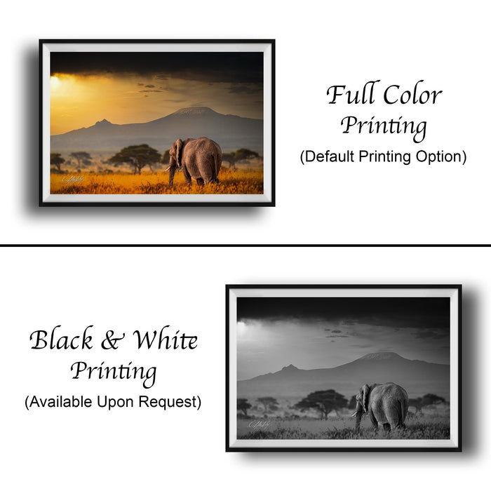 Boho Elephant Wall Art – Sunrise Safari Scene | Large Artist Special Edition Print