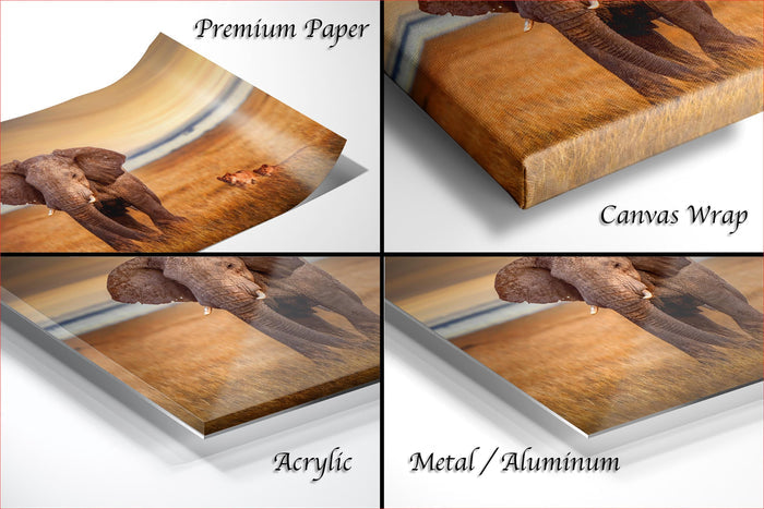 The image is a collage of four different views of an elephant, each with a different finish or material. The text labels the images as "Premium Paper", "Canvas Wrap", "Acrylic", and "Metal/Aluminum".