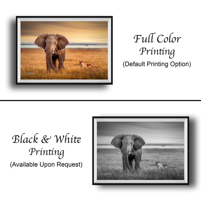Boho Safari Elephant Print – Kenya Wildlife Art | Special Edition Artist Original