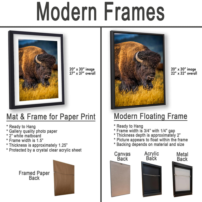 The image is a comparison of modern frames for different types of artwork, including a mat and frame for a paper print and a modern floating frame for a painting.