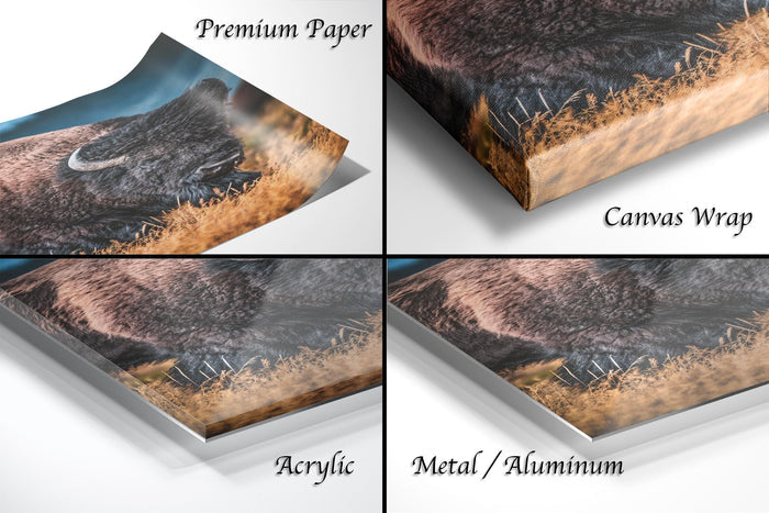 The image is a collage of four different views of a printed image, including a close-up of the printed image, a canvas wrap, an acrylic print, and a metal/aluminum print.