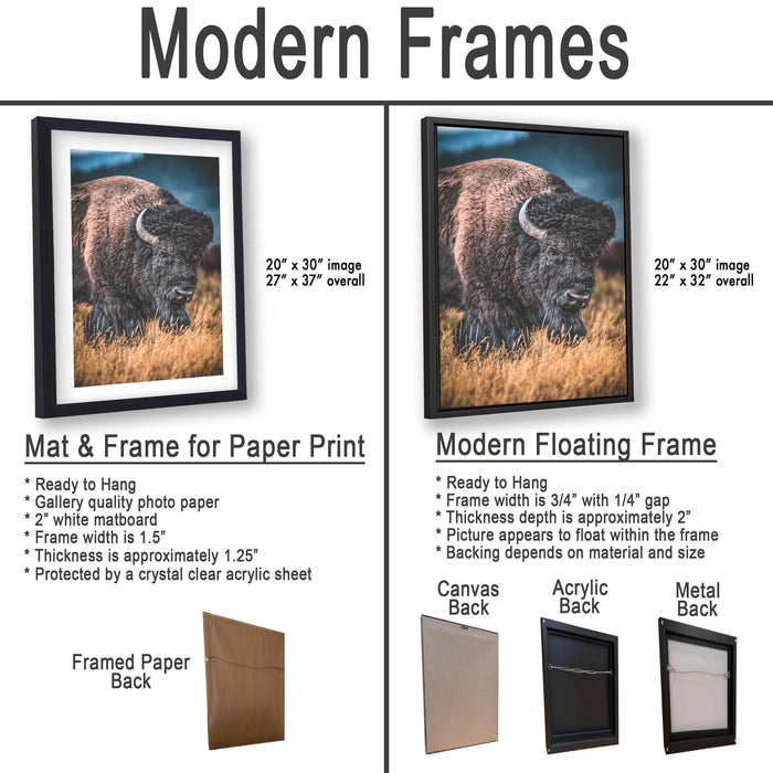 The image is a comparison of modern frames for different types of paper prints, including mat and frame options, as well as modern floating frames.