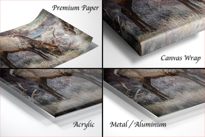 The image is a collage of four different views of a deer in a forest, each with a different type of paper or material covering it.