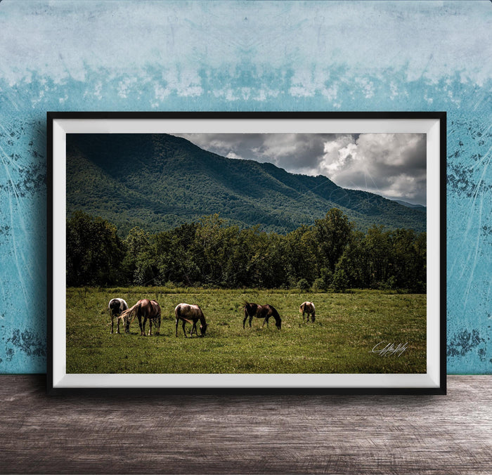 A framed photograph depicting a group of horses grazing in a grassy field with mountains in the background.