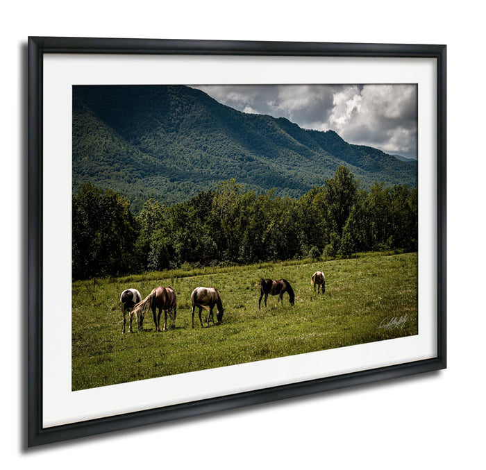 A group of horses grazing in a lush green field, with a mountainous landscape in the background.