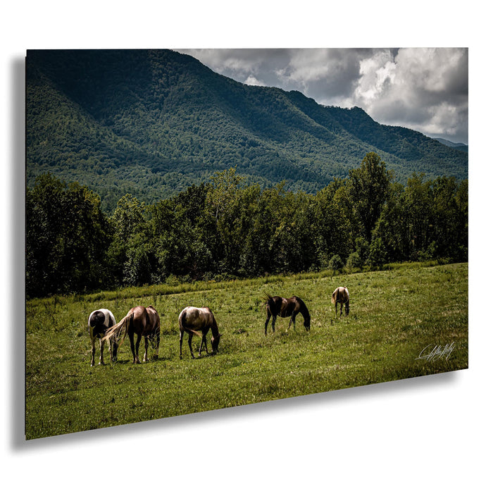A group of horses grazing in a lush green field, with a majestic mountain range in the background under a cloudy sky.