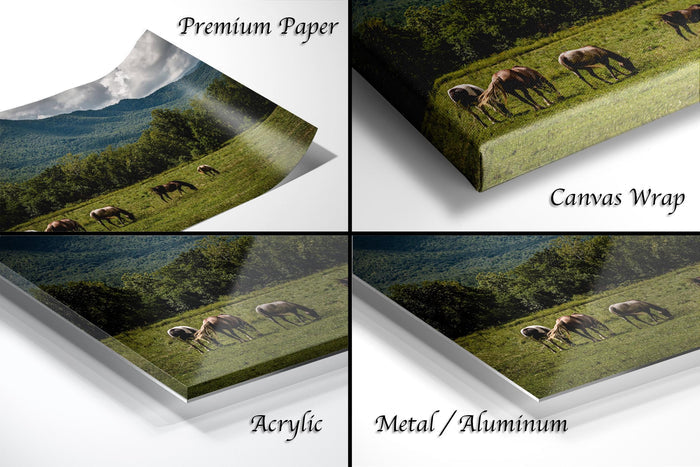 The image is a collage of four different views of a horse grazing in a field, with each view labeled as "Premium Paper", "Canvas Wrap", "Acrylic", and "Metal/Aluminum".