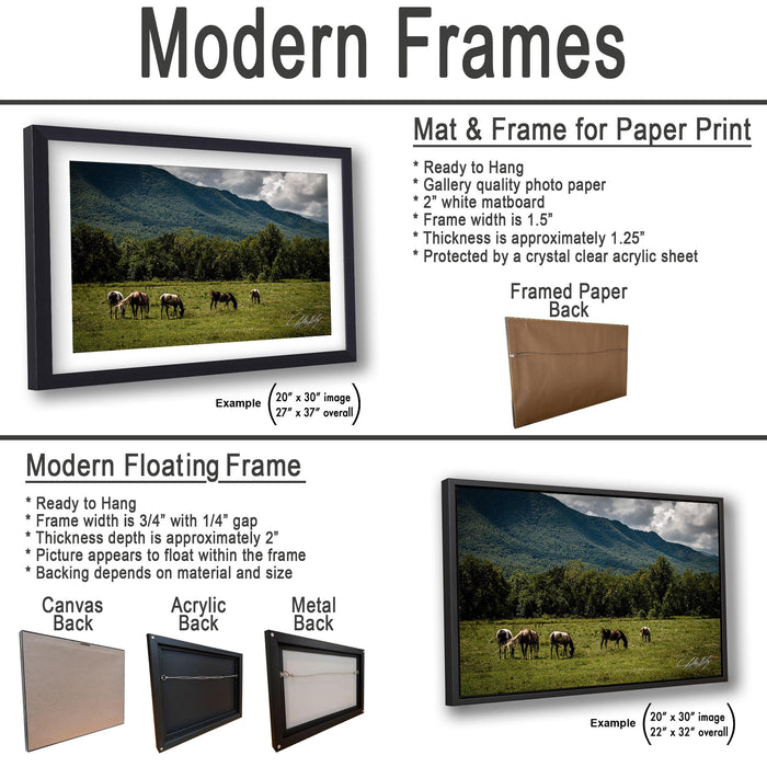 The image is a collage of two framed pictures, one of a field with horses and the other of a mountain landscape. The framed picture is a mat and frame for a paper print, while the other is a modern floating frame.