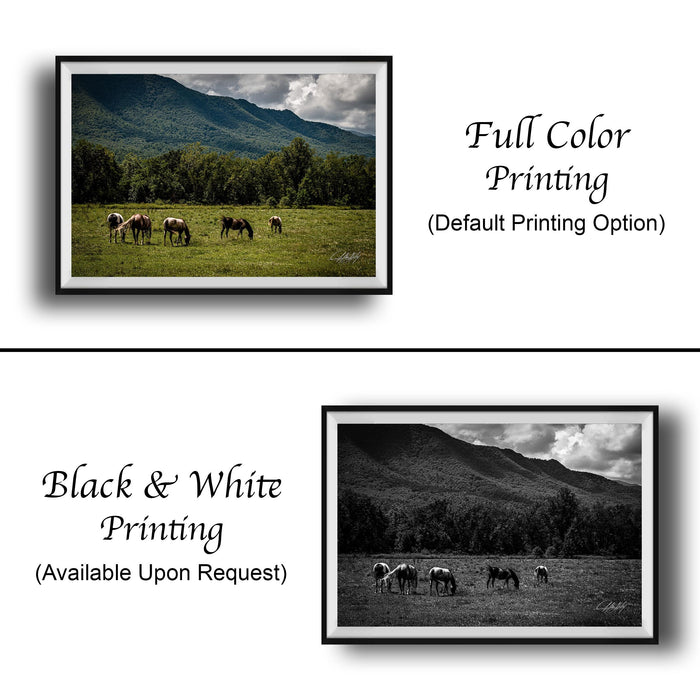 The image is a collage of two framed pictures. The top picture is a full color print of a group of horses grazing in a field, while the bottom picture is a black and white print of the same group of horses grazing in the same field.