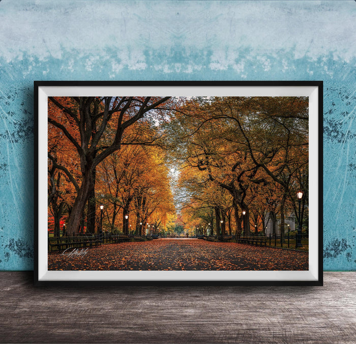 A framed photograph depicting a tree-lined street with fallen leaves, set against a blue wall.