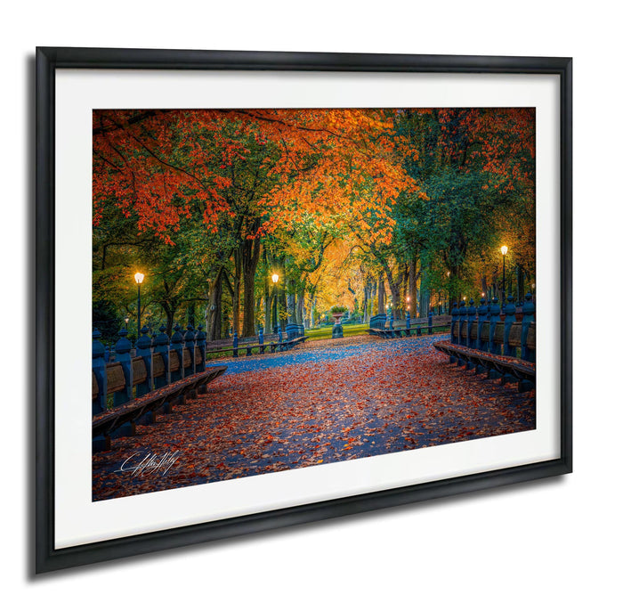 A framed photograph depicting a serene park scene with a path lined with trees displaying vibrant orange and yellow leaves, creating a warm and inviting atmosphere.
