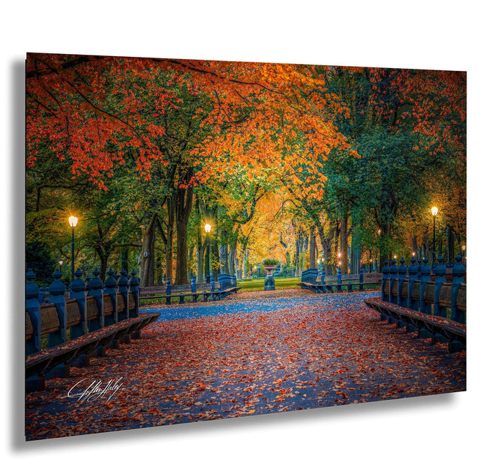 Central Park Wall Art – Autumn Sunrise & Sunset NYC Landscape Print