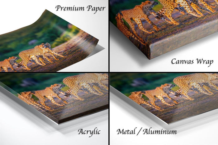 The image is a collage of four different views of a cheetah in its natural habitat, showcasing the animal in various poses and settings.