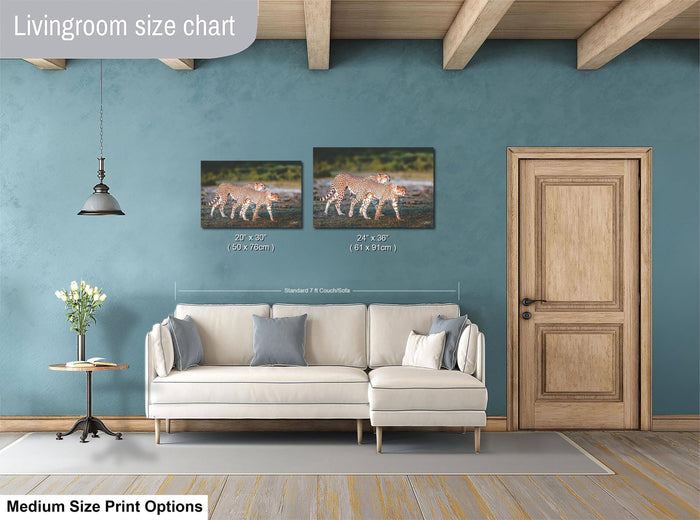 a living room with a white sofa, a wooden door, and a painting of two cheetahs on the wall. The living room has a blue wall and a wooden floor.