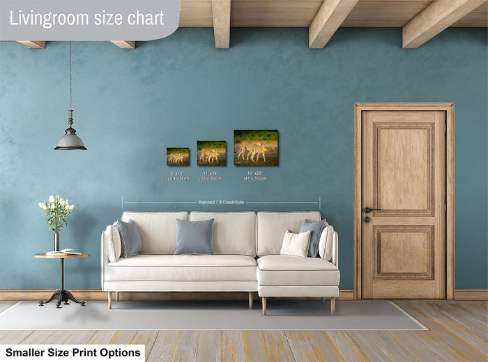 a living room with a white sofa, a wooden door, and a hanging light fixture. There are three framed artworks displayed on the wall, each with different sizes and dimensions. The living room appears to be designed for a smaller, more intimate space.