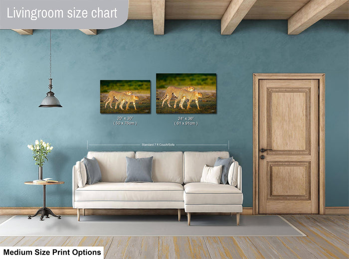 a living room with a white sofa, a wooden door, and a painting of two leopards on the wall. The living room has a blue wall and a wooden floor.