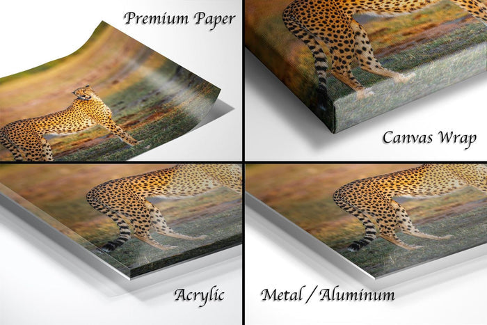 The image is a collage of four different views of a cheetah in its natural habitat, showcasing the animal in various poses and settings.