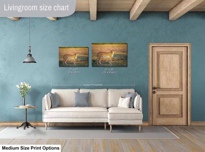 a living room with a white sofa, a wooden door, and a painting of a cheetah on the wall. The living room has a blue wall and a wooden floor.