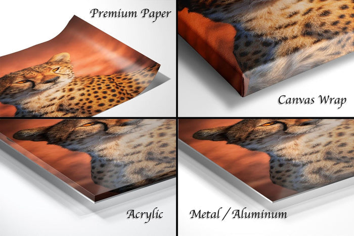 The image is a collage of four different close-up shots of a cheetah's face, each with a different texture and finish: "Premium Paper", "Canvas Wrap", "Acrylic", and "Metal/Aluminum".