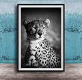 A black and white photograph of a young cheetah, with its distinctive spotted coat, sitting in a contemplative pose against a textured blue background.