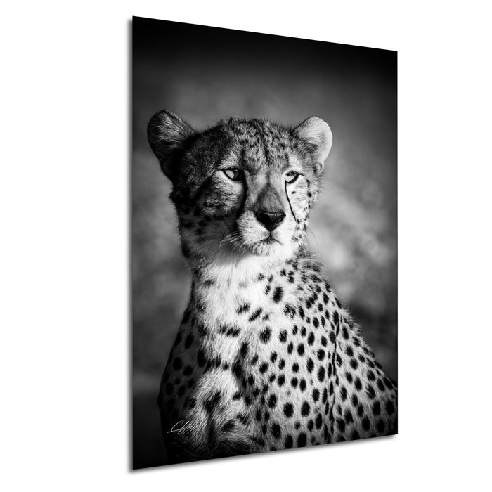 Maasai Mara wildlife, cheetah safari Kenya, Kenya travel photography, endangered big cats, African safari, black and white art