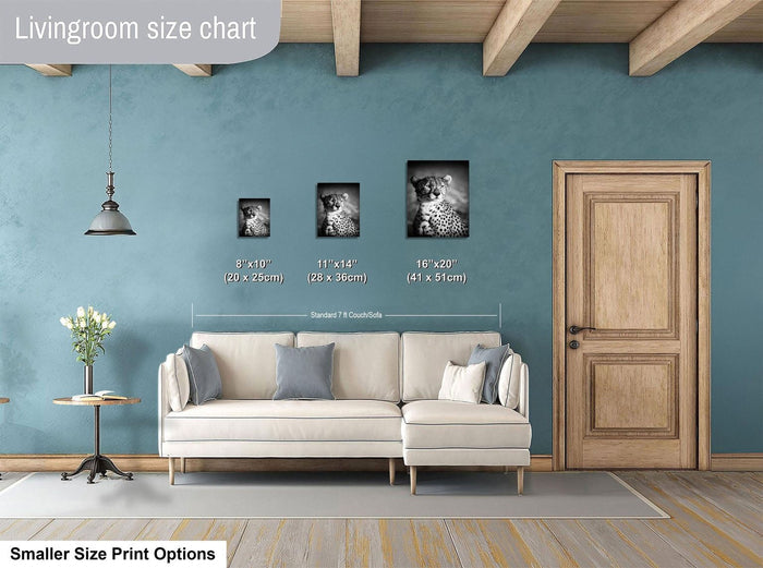 a living room with a white sofa and a wooden door. Above the sofa, there is a size chart indicating the dimensions of three framed photographs of cheetahs. The chart provides the size of each frame in inches and centimeters.