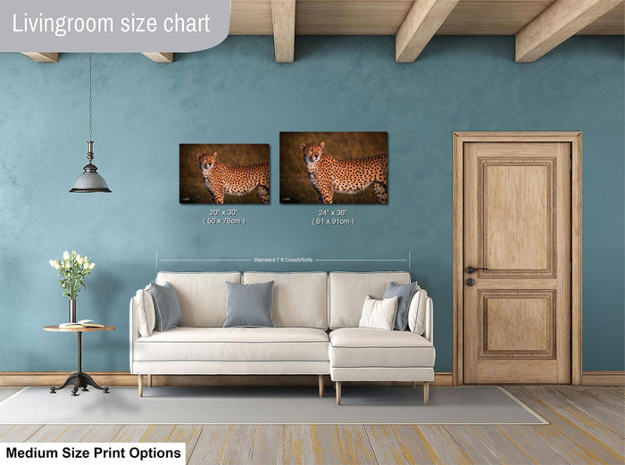 a living room with a white sofa, a wooden door, and a painting of a cheetah on the wall. The living room has a blue wall and a wooden ceiling.