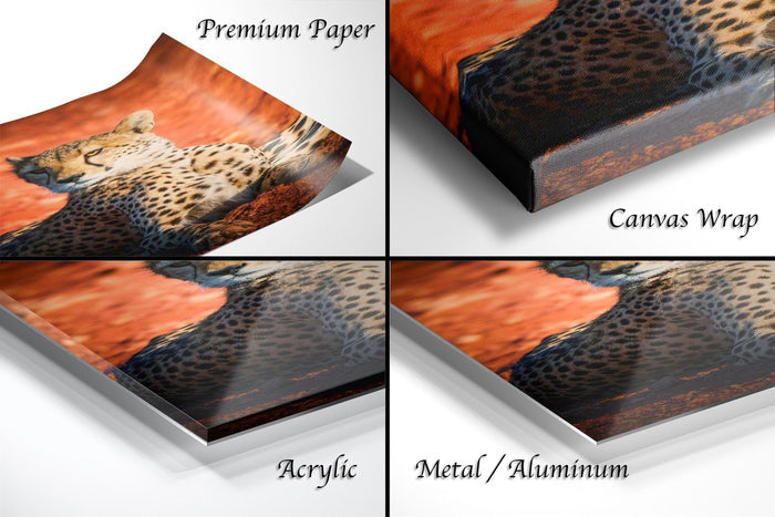 The image is a collage of four different views of a cheetah, showcasing the animal in various settings and angles.
