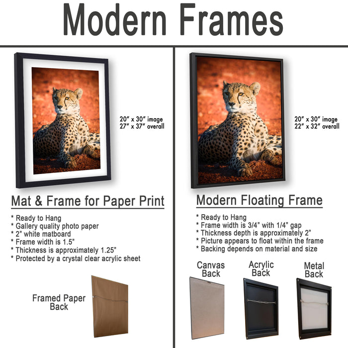 The image is a comparison of modern frames for different types of paper prints, including mat & frame for paper print and modern floating frame for canvas back.