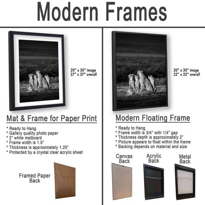 The image is a comparison of modern frames for different types of artwork, including a mat and frame for a paper print and a modern floating frame for a photograph.