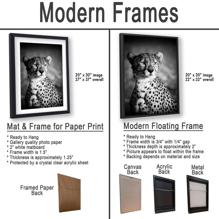 The image is a comparison of modern frames for different types of artwork, including a mat and frame for a paper print and a modern floating frame for a picture.