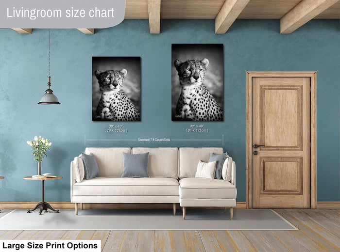 a living room with a white sofa and a wooden door. Above the sofa, there are two framed black and white photographs of a cheetah, which are hung on the wall. The living room has a blue wall and a wooden ceiling.