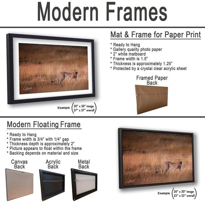 The image is a collage of three framed artworks, each with a different frame and backing material. The first frame is a mat and frame for a paper print, the second frame is a modern floating frame, and the third frame is a mat and frame for a canvas print.