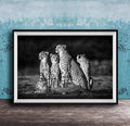 A group of five cheetahs, including two adult ones and three younger ones, standing together in a natural setting.