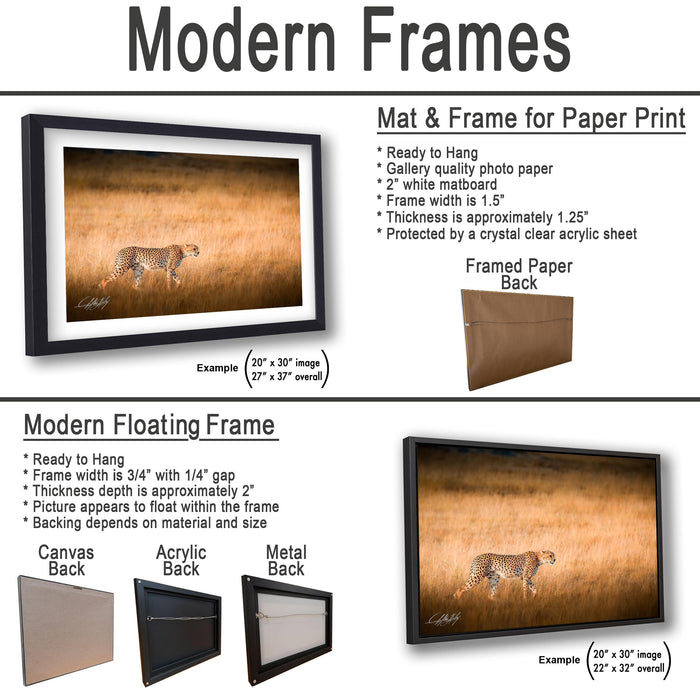 The image is a collage of three framed artworks, each depicting a cheetah in a different setting. The first frame is a mat and frame for a paper print, the second frame is a modern floating frame, and the third frame is a framed paper back.