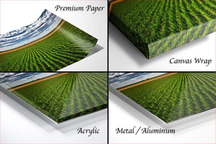 The image is a collage of four different images, each depicting a field of crops. The images are labeled as "Premium Paper", "Canvas Wrap", "Acrylic", and "Metal/Aluminum".