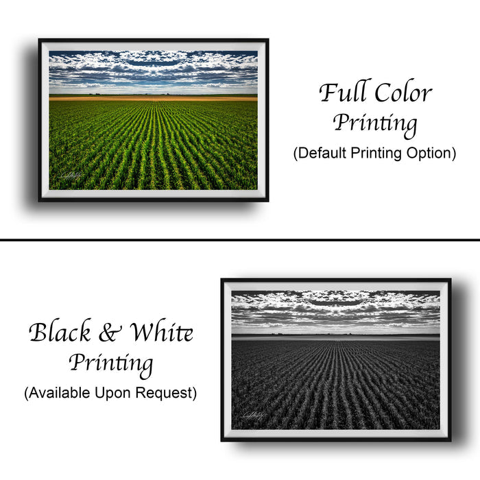 The image is a collage of two framed pictures. The top picture is a full color print of a field of crops, while the bottom picture is a black and white print of the same field. Both pictures are framed and displayed side by side, with the top picture labeled as "Full Color Printing" and the bottom picture labeled as "Black & White Printing" and "Available Upon Request".