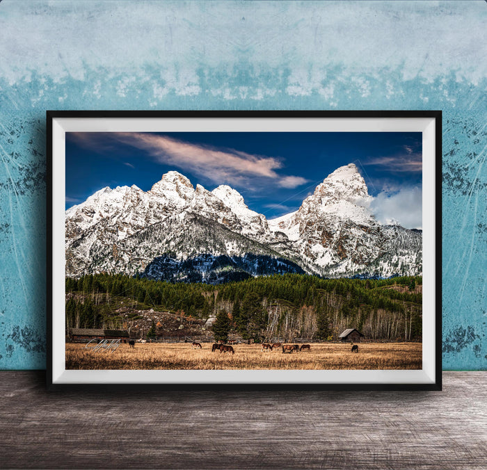 A framed photograph of a serene mountain landscape with snow-capped peaks, a lush green forest, and a herd of horses grazing in the foreground.